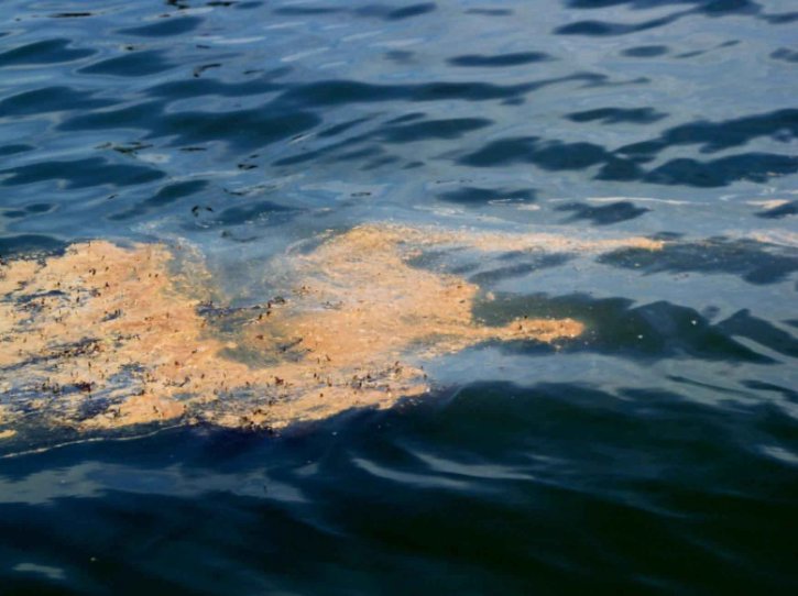 Oil-Spill